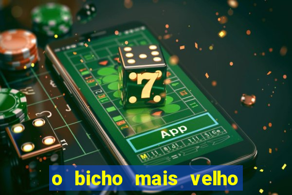 o bicho mais velho da loteria dos sonhos